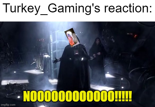 Vader nooooooooo | Turkey_Gaming's reaction: NOOOOOOOOOOOO!!!!! | image tagged in vader nooooooooo | made w/ Imgflip meme maker