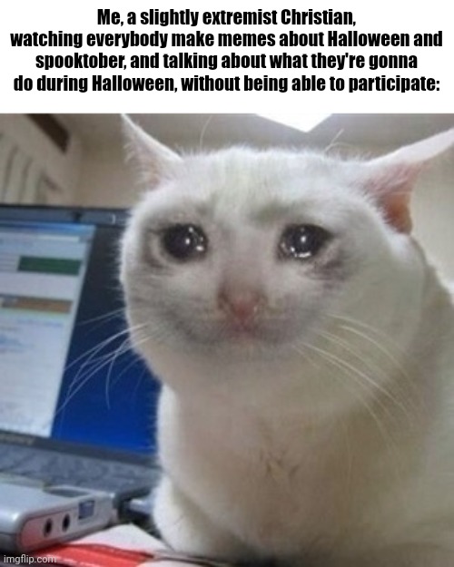 So sad, how very sad. :( | Me, a slightly extremist Christian, watching everybody make memes about Halloween and spooktober, and talking about what they're gonna do during Halloween, without being able to participate: | image tagged in crying cat | made w/ Imgflip meme maker