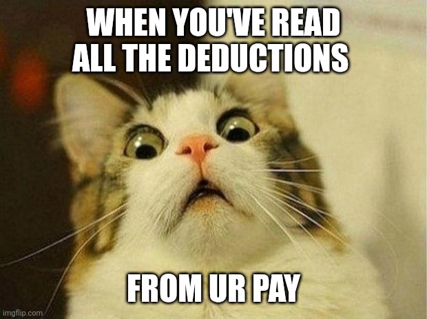 Scared Cat | WHEN YOU'VE READ ALL THE DEDUCTIONS; FROM UR PAY | image tagged in memes,scared cat | made w/ Imgflip meme maker