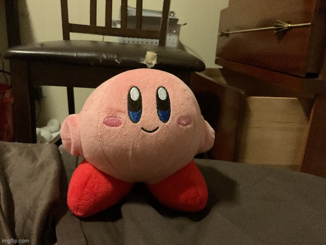 My Kirby plush | image tagged in kirby,reveal | made w/ Imgflip meme maker