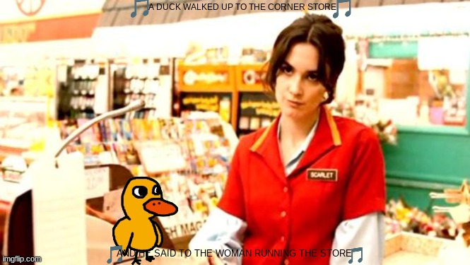 imgflip sings the duck song 2 | A DUCK WALKED UP TO THE CORNER STORE; AND HE SAID TO THE WOMAN RUNNING THE STORE | image tagged in cashier meme,youtube,2000s music,ducks | made w/ Imgflip meme maker