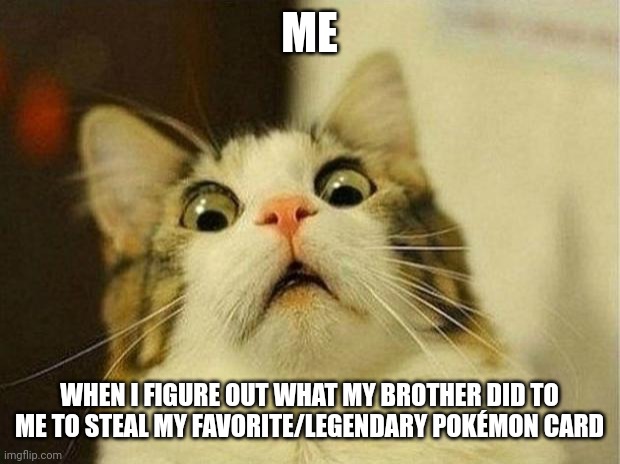 OH NO YOU DIDN'T | ME; WHEN I FIGURE OUT WHAT MY BROTHER DID TO ME TO STEAL MY FAVORITE/LEGENDARY POKÉMON CARD | image tagged in memes,scared cat | made w/ Imgflip meme maker