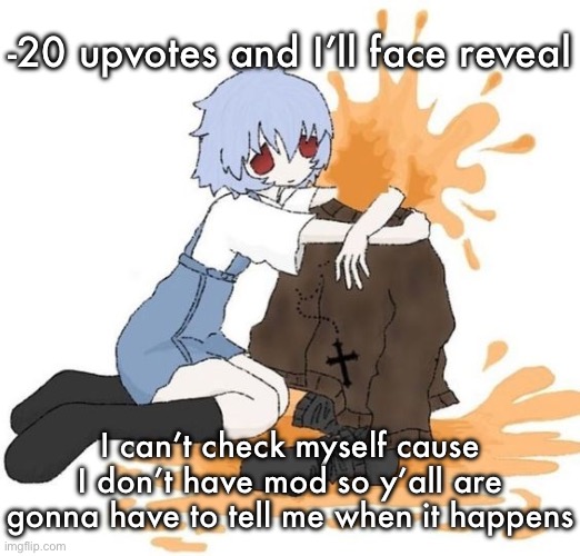 rei | -20 upvotes and I’ll face reveal; I can’t check myself cause I don’t have mod so y’all are gonna have to tell me when it happens | image tagged in rei | made w/ Imgflip meme maker