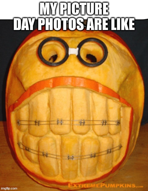 JACK-O-RAID, SUPPORT THIS RAID | MY PICTURE DAY PHOTOS ARE LIKE | image tagged in pumpkin | made w/ Imgflip meme maker