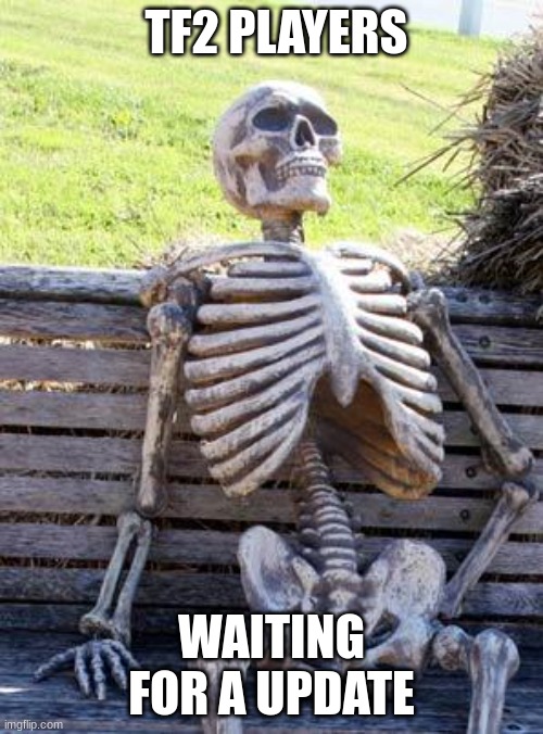 tf2 meme | TF2 PLAYERS; WAITING FOR A UPDATE | image tagged in memes,waiting skeleton | made w/ Imgflip meme maker