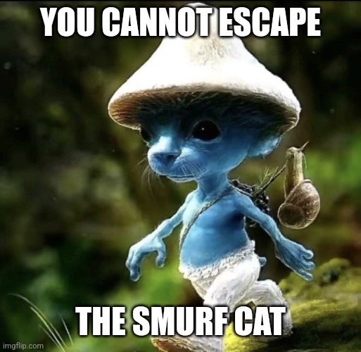 Blue Smurf cat | YOU CANNOT ESCAPE THE SMURF CAT | image tagged in blue smurf cat | made w/ Imgflip meme maker
