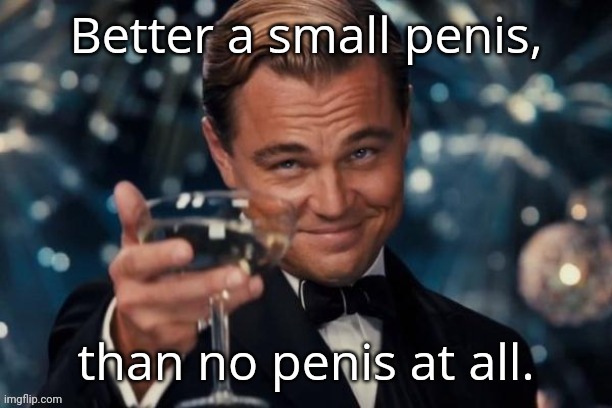 For all you vaginas and manginas out there talking bout microdicks | image tagged in leonardo dicaprio cheers | made w/ Imgflip meme maker