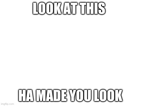 Look | LOOK AT THIS; HA MADE YOU LOOK | image tagged in look at me,made you look | made w/ Imgflip meme maker