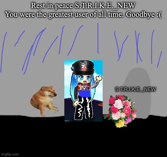 S.T.R.I.K.E._NEW. We will all miss you :( | Rest in peace S.T.R.I.K.E._NEW
You were the greatest user of all time. Goodbye :(; S.T.R.I.K.E._NEW | image tagged in memes,cheems,krewfam,goodbye strike,strike,f | made w/ Imgflip meme maker