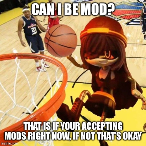 Doll ballin | CAN I BE MOD? THAT IS IF YOUR ACCEPTING MODS RIGHT NOW, IF NOT THAT’S OKAY | image tagged in doll ballin | made w/ Imgflip meme maker