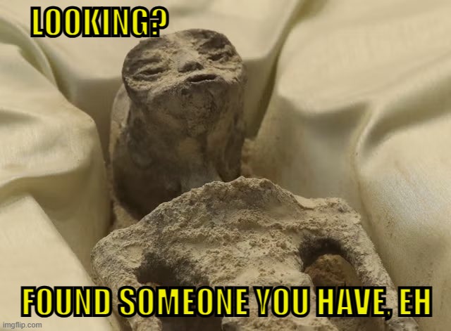 mexican yoda | LOOKING? FOUND SOMEONE YOU HAVE, EH | image tagged in mexican alien | made w/ Imgflip meme maker