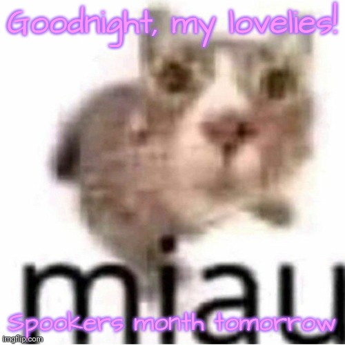 miau | Goodnight, my lovelies! Spookers month tomorrow | image tagged in miau,lovelies,please fuck me,i'm begging | made w/ Imgflip meme maker