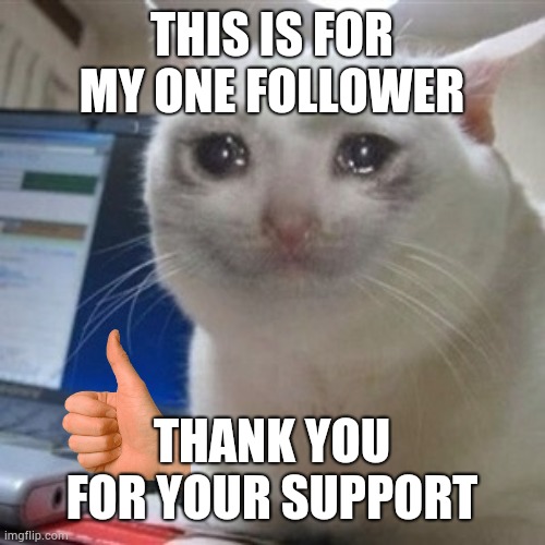 Thank you wherever you are | THIS IS FOR MY ONE FOLLOWER; THANK YOU FOR YOUR SUPPORT | image tagged in crying cat | made w/ Imgflip meme maker