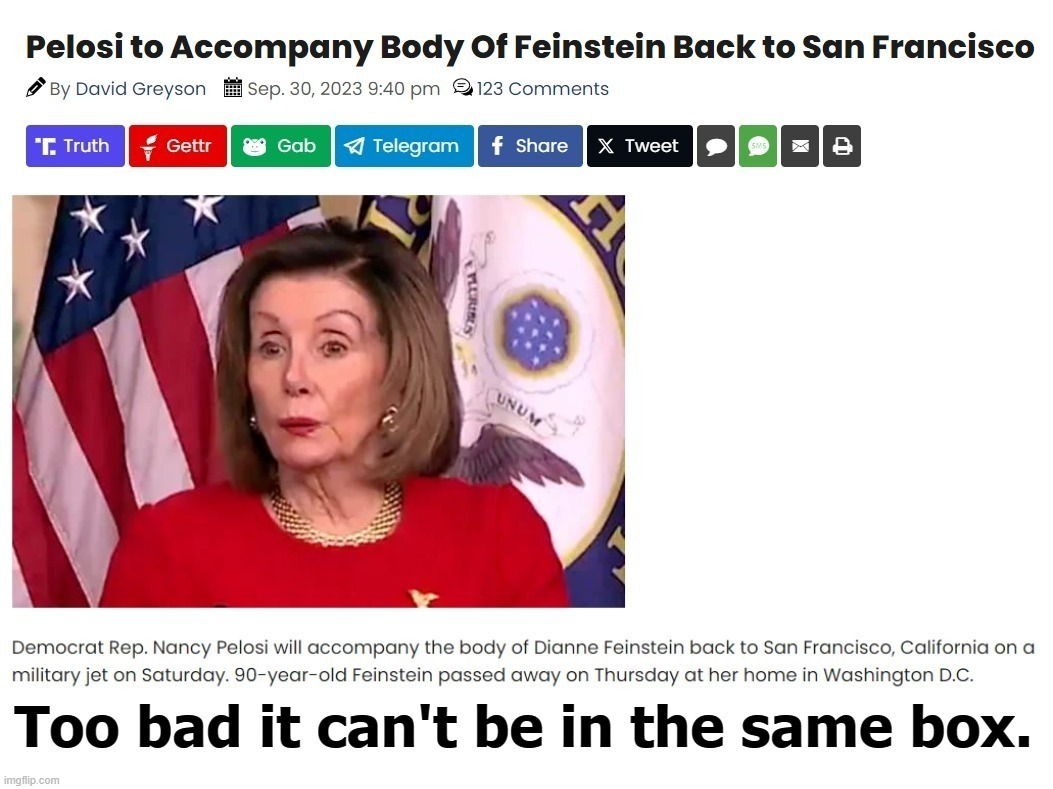 Pelosi to Accompany Body of Feinstein Back to San Francisco | image tagged in nancy pelosi,dianne feinstein,cheaper by the dozen,dead voters,election fraud,voter fraud | made w/ Imgflip meme maker