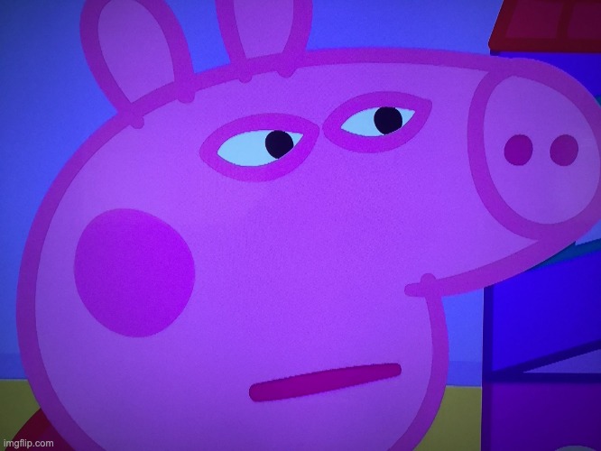 image tagged in what did you say peppa pig | made w/ Imgflip meme maker
