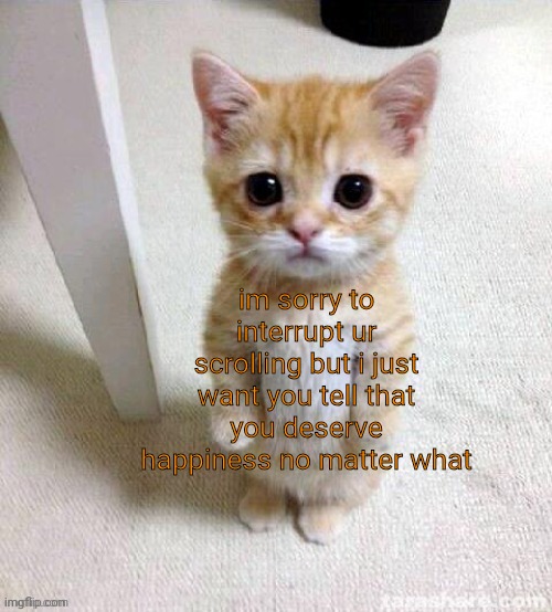 el gato | im sorry to interrupt ur scrolling but i just want you tell that you deserve happiness no matter what | image tagged in el gato | made w/ Imgflip meme maker