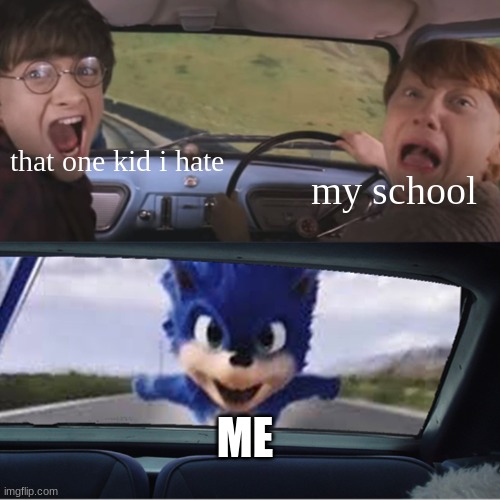 Sonic Chasing Harry and Ron | that one kid i hate; my school; ME | image tagged in sonic chasing harry and ron | made w/ Imgflip meme maker