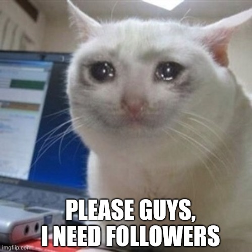 Crying cat | PLEASE GUYS, I NEED FOLLOWERS | image tagged in crying cat | made w/ Imgflip meme maker