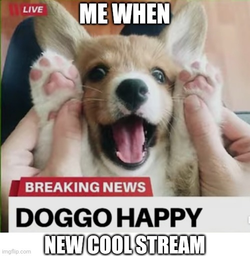 Doggo happy | ME WHEN; NEW COOL STREAM | image tagged in doggo happy | made w/ Imgflip meme maker