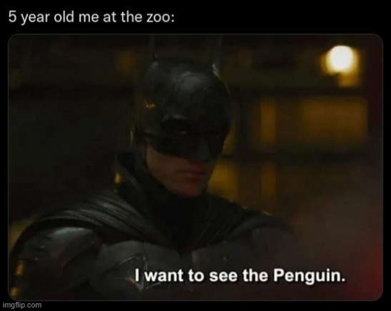 image tagged in zoo,penguin | made w/ Imgflip meme maker