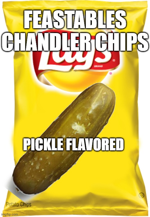 mrbeast good idea | FEASTABLES CHANDLER CHIPS; PICKLE FLAVORED | image tagged in do yellow lays blank meme | made w/ Imgflip meme maker