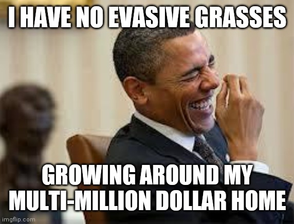 laughing obama | I HAVE NO EVASIVE GRASSES GROWING AROUND MY MULTI-MILLION DOLLAR HOME | image tagged in laughing obama | made w/ Imgflip meme maker