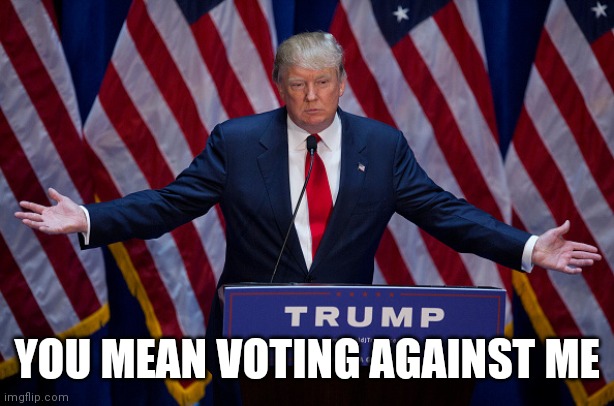 Donald Trump | YOU MEAN VOTING AGAINST ME | image tagged in donald trump | made w/ Imgflip meme maker