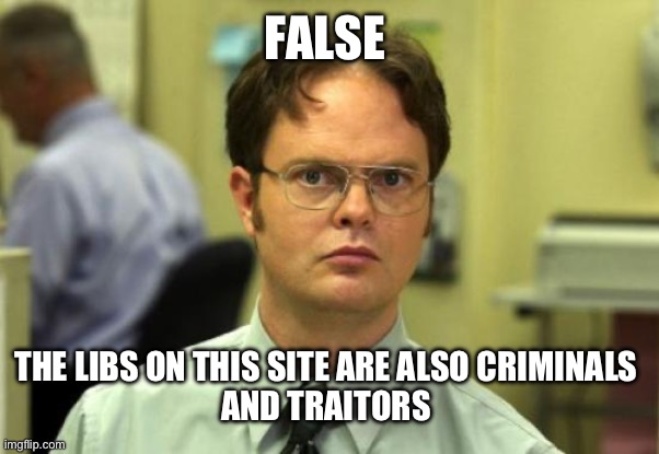 Dwight Schrute Meme | FALSE THE LIBS ON THIS SITE ARE ALSO CRIMINALS 
AND TRAITORS | image tagged in memes,dwight schrute | made w/ Imgflip meme maker