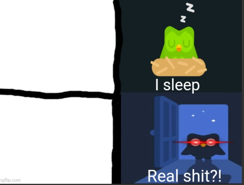 I sleep real shit Duolingo version Blank Meme Template