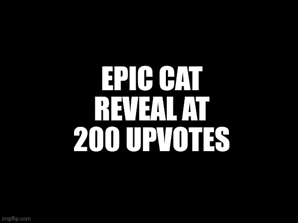 EPIC CAT REVEAL AT 200 UPVOTES | image tagged in cat,reveal,memes | made w/ Imgflip meme maker