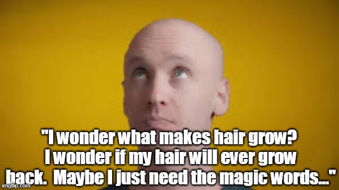 "I wonder what makes hair grow?  I wonder if my hair will ever grow back.  Maybe I just need the magic words..." | made w/ Imgflip meme maker