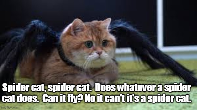 Spider cat, spider cat.  Does whatever a spider cat does.  Can it fly? No it can't it's a spider cat. | made w/ Imgflip meme maker