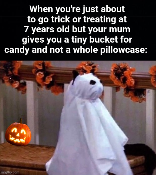 When you're just about to go trick or treating at 7 years old but your mum gives you a tiny bucket for candy and not a whole pillowcase: | image tagged in memes,unfunny | made w/ Imgflip meme maker