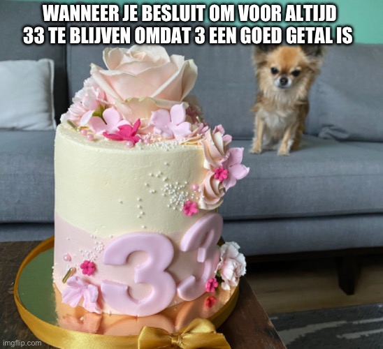 WANNEER JE BESLUIT OM VOOR ALTIJD 33 TE BLIJVEN OMDAT 3 EEN GOED GETAL IS | made w/ Imgflip meme maker