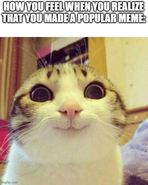 One of the best feelings ever | HOW YOU FEEL WHEN YOU REALIZE THAT YOU MADE A POPULAR MEME: | image tagged in memes,smiling cat | made w/ Imgflip meme maker