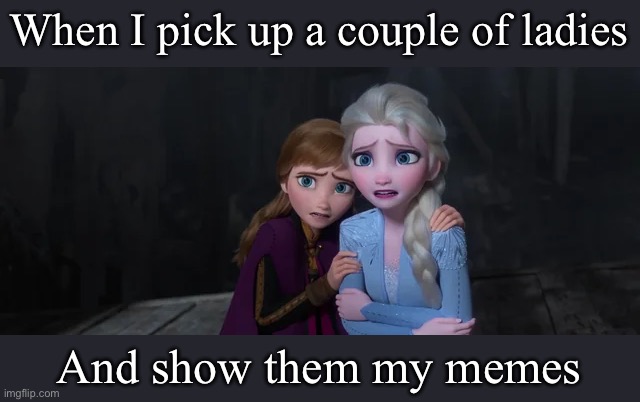 Pleasing the ladies | When I pick up a couple of ladies; And show them my memes | image tagged in ladies,memes,pick up lines | made w/ Imgflip meme maker