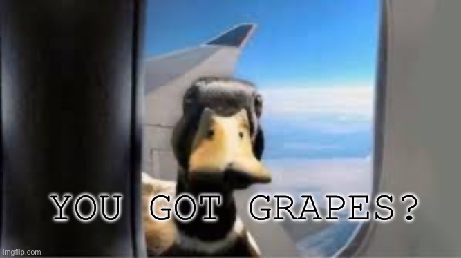 YOU GOT GRAPES? | made w/ Imgflip meme maker