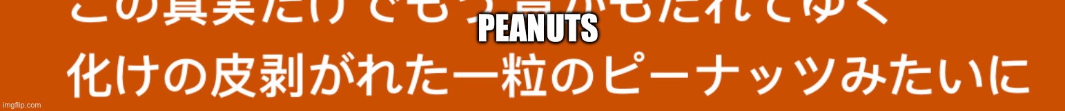 P E A N U T S | PEANUTS | made w/ Imgflip meme maker