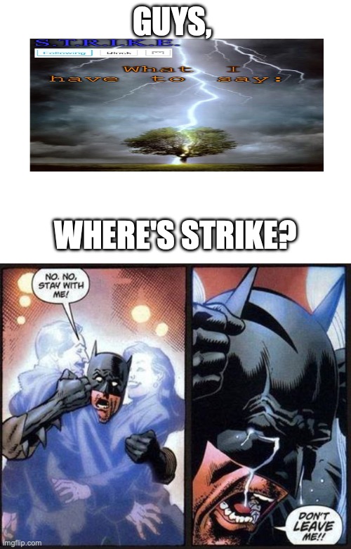 Where'd he go????? | GUYS, WHERE'S STRIKE? | image tagged in batman don't leave me,strike,no,way,man | made w/ Imgflip meme maker