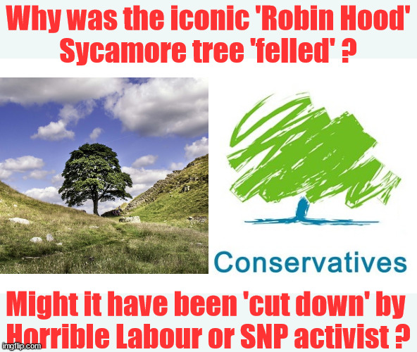 Why was the iconic 'Robin Hood'Sycamore tree 'felled' ? | Why was the iconic 'Robin Hood'
Sycamore tree 'felled' ? Why was the iconic 'Hobin Hood' Sycamore tree felled? Starmer - Chasing Child Voters Can't Trust Starmer; Starmer 'Paedo'; Starmer to Betray Britain . . . #Burden Sharing #Quid Pro Quo #100,000; #Immigration #Starmerout #Labour #wearecorbyn #KeirStarmer #DianeAbbott #McDonnell #cultofcorbyn #labourisdead #labourracism #socialistsunday #nevervotelabour #socialistanyday #Antisemitism #Savile #SavileGate #Paedo #Worboys #GroomingGangs #Paedophile #IllegalImmigration #Immigrants #Invasion #Starmeriswrong #SirSoftie #SirSofty #Blair #Steroids #BibbyStockholm #Barge #burdonsharing #QuidProQuo; EU Migrant Exchange Deal? #Burden Sharing #QuidProQuo #100,000 #children #Kids; Chasing under 18's for votes? Careful How you vote; If they're old enough to vote why shouldn't they be treated as adults under our Law? #PipFlatau; Was it cut down by a Horrible Lefty activist ? Might it have been 'cut down' by 
Horrible Labour or SNP activist ? | image tagged in labourisdead,illegal immigration,stop boats rwanda echr,20 mph ulez eu 4th tier,just stop oil,starmer pip flatau | made w/ Imgflip meme maker