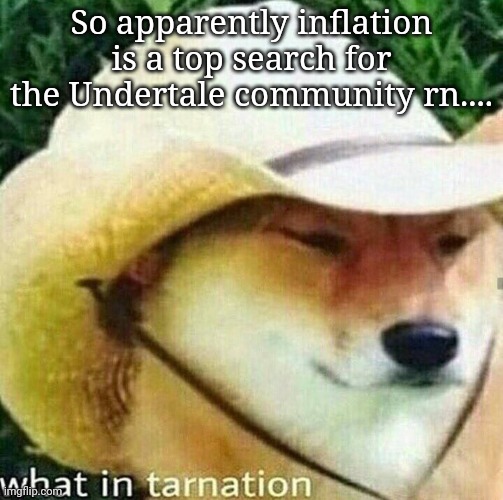 What the hell is wrong with those people??? | So apparently inflation is a top search for the Undertale community rn.... | image tagged in what in tarnation dog | made w/ Imgflip meme maker