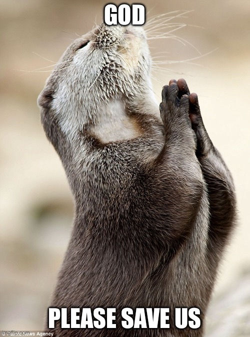 Otter prayer  | GOD PLEASE SAVE US | image tagged in otter prayer | made w/ Imgflip meme maker