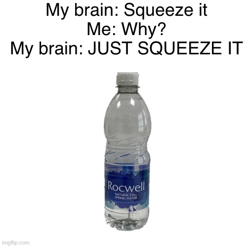 As an autistic, I can confirm that I do this very often | My brain: Squeeze it
Me: Why?
My brain: JUST SQUEEZE IT | image tagged in water bottle,brain | made w/ Imgflip meme maker