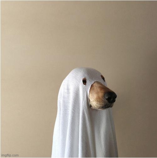 Ghost Doge | image tagged in ghost doge | made w/ Imgflip meme maker