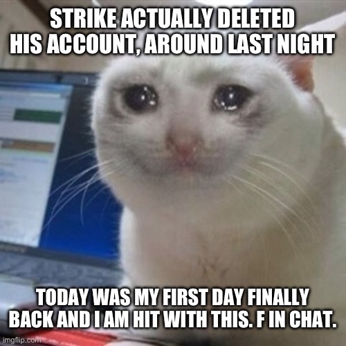 Why did he have to leave TODAY | STRIKE ACTUALLY DELETED HIS ACCOUNT, AROUND LAST NIGHT; TODAY WAS MY FIRST DAY FINALLY BACK AND I AM HIT WITH THIS. F IN CHAT. | image tagged in crying cat | made w/ Imgflip meme maker