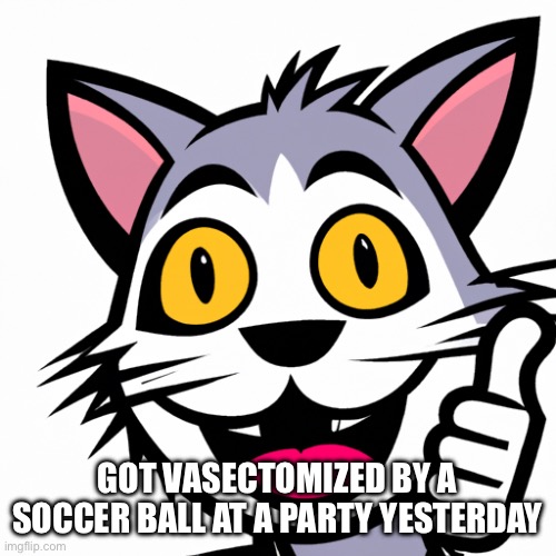 . | GOT VASECTOMIZED BY A SOCCER BALL AT A PARTY YESTERDAY | image tagged in photo of a cat giving a thumbs up while smiling | made w/ Imgflip meme maker