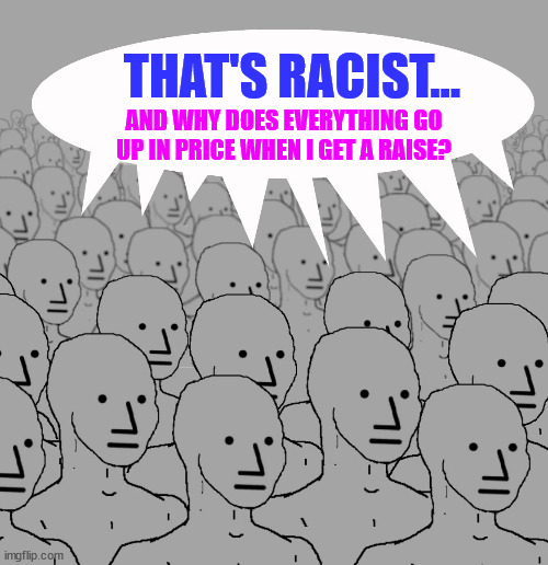 npc-crowd | THAT'S RACIST... AND WHY DOES EVERYTHING GO UP IN PRICE WHEN I GET A RAISE? | image tagged in npc-crowd | made w/ Imgflip meme maker