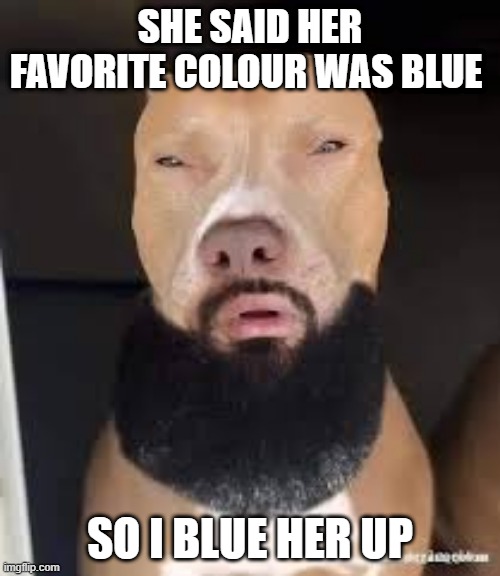 RIZZ | SHE SAID HER FAVORITE COLOUR WAS BLUE; SO I BLUE HER UP | image tagged in rizz | made w/ Imgflip meme maker