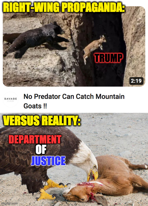 Memes in the classroom. | RIGHT-WING PROPAGANDA:; TRUMP; VERSUS REALITY:; DEPARTMENT; OF; JUSTICE | image tagged in memes,propaganda,trump | made w/ Imgflip meme maker