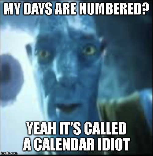 Compressed avatar | MY DAYS ARE NUMBERED? YEAH IT'S CALLED A CALENDAR IDIOT | image tagged in compressed avatar,memes,funny,hilarious memes | made w/ Imgflip meme maker